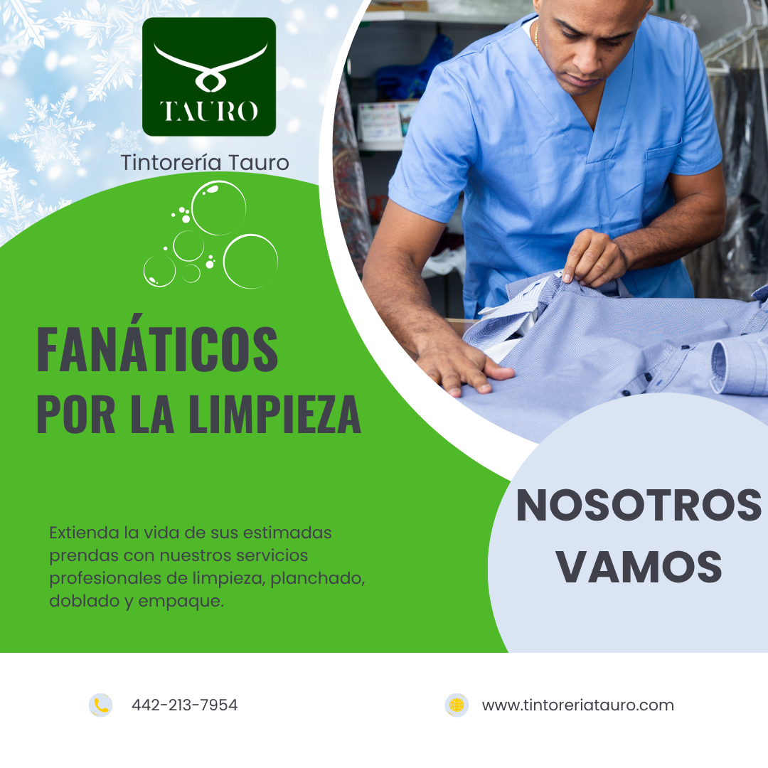 Fanáticos por la Limpieza